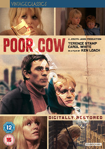 Poor Cow (1967)  (DVD)